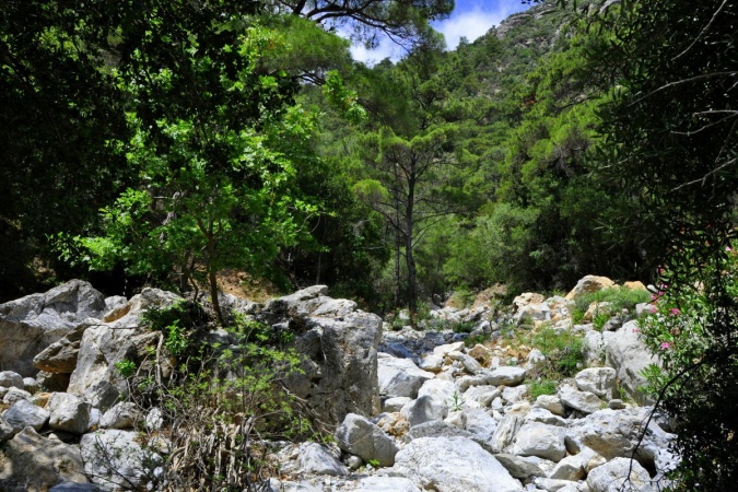 Climbing the gorge of Myrtos 6